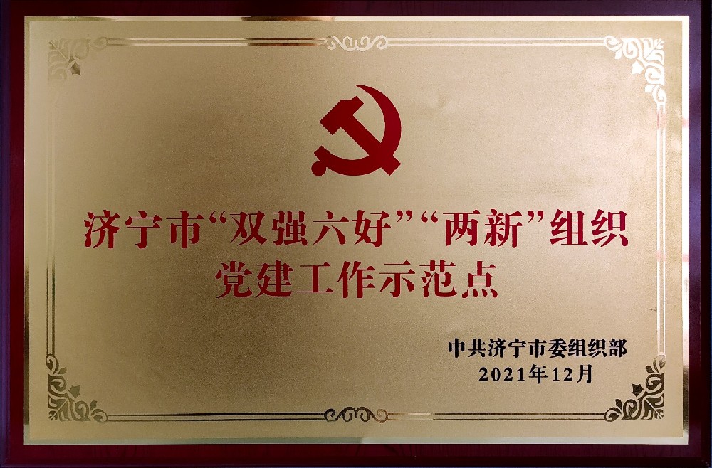 济宁市“双强六好”“两新”组织党建工作示范点